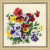Pansy Medley / RL1516