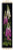 Foxgloves / RL1629