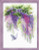 Wisteria / RL1672