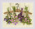 Herbs / RL1717