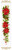 Poinsettia / RL1729
