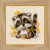 Little Raccoon / RL1754