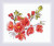 RIOLIS / RL1819
