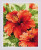 Hibiscus / RL1967