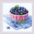 Ripe Blueberry / RL2168