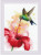 Hummingbird / RL2178