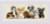 Puppies / RL2221