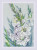 White Gladioli / RL2297