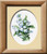 Lily of the Valley / RL241