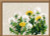 Dandelions / RL807