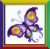 Amethyst Butterfly / RLHB171