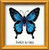Ulysses Butterfly - Happy Bee / RLHB95
