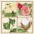 Cotton - Bloom to Boll / PC1370