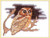 Owl / GOK1030