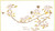 Bees And Blossoms / GOK1047A