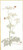 Bees And Queen Ann's Lace / GOK1067