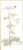 Bees And Queen Ann's Lace / GOK1067A