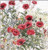 Pink Poppies / GOK2061A