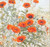 Orange Poppies / GOK2062