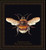 Bee / GOK3018B
