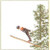 Ski Jumping / GOK3039
