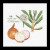 Onion / GOK3042A