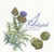 Artichoke / GOK3048