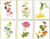 Six Floral Studies / GOK3084