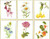 Six Floral Studies / GOK3084A