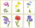 Six Floral Studies - 3 / GOK3085