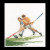 Field Hockey / GOK3089