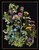 Wild Flowers / GOK424B