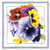 Pansies / GOK435A