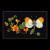 Orange Tip Butterfly / GOK437B
