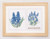 Blue Flower / GOK443