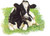 Holstein Cow Looking Forward / GOK451A