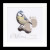 Birth Sampler Mees / GOK509A