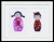 Kokeshi Dolls / GOK547
