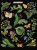 Caterpillars & Butterflies / GOK587B