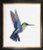 Hummingbird / GOK616A