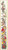Floral Garden / GOK848A