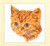 Tiger Cat / GOK931