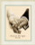 Wedding Happiness / PNV11667