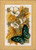 Butterfly on Flowers II / PNV144802
