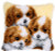 3 Dogs Cushion - Latch Hook / PNV145646