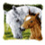 Horse and Foal Pillow / PNV146759