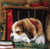 Dog Sleeping on Bookshelf / PNV148118
