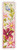 Pink Flowers / PNV148355