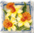 Daffodils Cushion / PNV149783