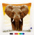 Elephant in Savannah I Cushion / PNV150146